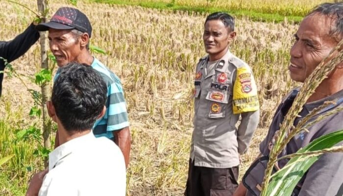Bhabinkamtibmas Desa Rumak Dorong Warga Manfaatkan Pekarangan untuk Ketahanan Pangan