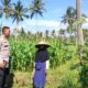 Bhabinkamtibmas Eyat Mayang Dukung Petani Jagung Demi Ketahanan Pangan