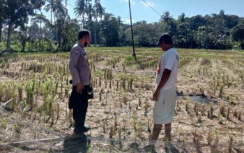 Warga Kuripan Didorong Mandiri Pangan Lewat Pekarangan