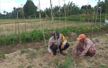 Ketahanan Pangan Dimulai dari Desa Bhabinkamtibmas Jagaraga Dorong Pemanfaatan Lahan Pekarangan