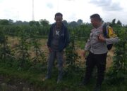 Ketahanan Pangan Dimulai dari Desa, Inisiatif Bhabinkamtibmas di Dusun Beremi Kuripan