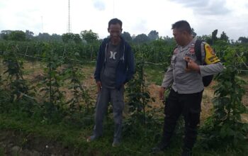 Ketahanan Pangan Dimulai dari Desa, Inisiatif Bhabinkamtibmas di Dusun Beremi Kuripan