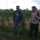 Ketahanan Pangan Dimulai dari Desa: Bhabinkamtibmas Sosialisasi Lahan Produktif di Jagaraga