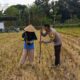 Polsek Kuripan Dukung Petani Jagung Kuripan Utara Tingkatkan Ketahanan Pangan