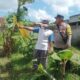 Dusun Dawung Gerakkan Swasembada Pangan dari Pekarangan Rumah