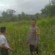 Bhabinkamtibmas Sekotong Tengah Dorong Pemanfaatan Lahan Pekarangan untuk Ketahanan Pangan
