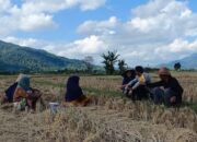 Kolaborasi Polisi dan Warga Babussalam Perkuat Swasembada Pangan