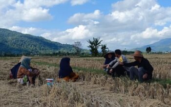 Kolaborasi Polisi dan Warga Babussalam Perkuat Swasembada Pangan