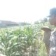 Bhabinkamtibmas Labuapi Dorong Ketahanan Pangan Lewat Silaturahmi Petani