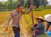 Kunjungan Bhabinkamtibmas Kuripan Utara, Ajak Petani Dukung Ketahanan Pangan Nasional