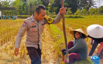 Bhabinkamtibmas Kuripan Utara Dorong Ketahanan Pangan dari Lahan Produktif Warga