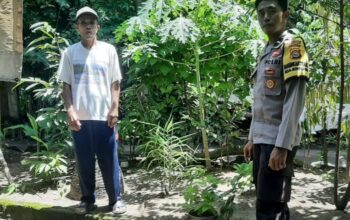 Batulayar Tunjukkan Peran Aktif Warga dalam Ketahanan Pangan Lokal
