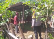 Bhabinkamtibmas Batu Putih Bina Warga Kembangkan Sapi Ternak