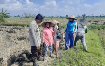 Bhabinkamtibmas Montong Are Dorong Ketahanan Pangan Lewat Pendekatan Humanis