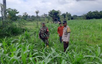 Polri Gencarkan Ketahanan Pangan di Lombok Barat, Bhabinkamtibmas Ajak Warga Sukseskan Swasembada