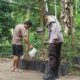 Bhabinkamtibmas Batulayar Dorong Kemandirian Pangan Lewat Pekarangan Bergizi
