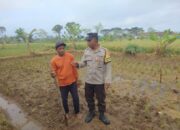 Polsek Kediri Aktif Pantau Ketahanan Pangan dan Lingkungan di Tengah Cuaca Ekstrem