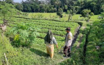 Polsek Kediri Dorong Ketahanan Pangan Warga Montong Are