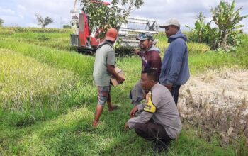 Bhabinkamtibmas Montong Are Dampingi Petani Wujudkan Swasembada Pangan