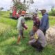 Bhabinkamtibmas Montong Are Dampingi Petani Wujudkan Swasembada Pangan