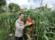 Bhabinkamtibmas Dorong Ketahanan Pangan di Labuapi melalui Pemanfaatan Lahan Warga