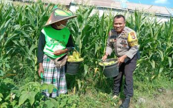 Polsek Labuapi Edukasi Warga Desa Jerneng untuk Tanam Sayur