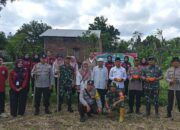 Sinergi Polsek Batulayar dan Warga Sandik Tanam Jagung Dukung Ketahanan Pangan
