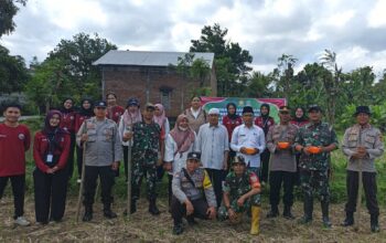 Sinergi Polsek Batulayar dan Warga Sandik Tanam Jagung Dukung Ketahanan Pangan