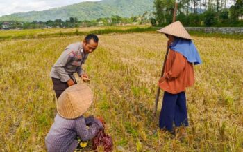 Polsek Kuripan Dukung Petani Kuripan Utara Optimalkan Pupuk Bersubsidi