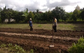Bhabinkamtibmas Kediri Dorong Ketahanan Pangan di Plowok Selatan