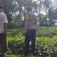 Pemanfaatan Pekarangan untuk Ketahanan Pangan di Dusun Pelan