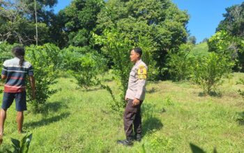 Demi Ketahanan Pangan, Bhabinkamtibmas Luk Gagas Pemanfaatan Lahan Kosong