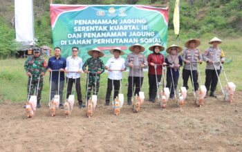 Polres Sumbawa Barat Gelar Tanam Jagung Kuartal III dan Pohon Keras Serentak Dukung Ketahanan Pangan Nasional