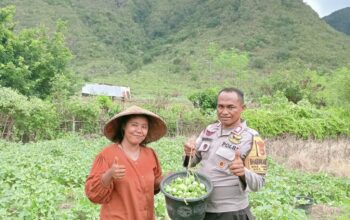 Sukseskan Program Ketahanan Pangan Nasional, Bhabinkamtibmas Polsek Monta Bantu Kegiatan Petani di Desa Binaan