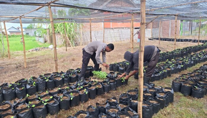 Bhabinkamtibmas Desa Air Suning Dampingi Pengelolaan Pekarangan Pangan Bergizi