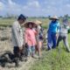 Bhabinkamtibmas Montong Are Dorong Ketahanan Pangan Lewat Pendampingan Petani