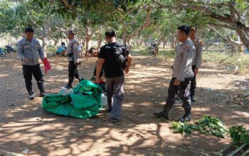Polsek Wawo Bubarkan Kegiatan Perjudian Sabung Ayam dan Bola Adil di Desa Kambilo