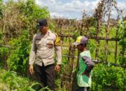 Bhabinkamtibmas di Labuapi dan Warga Bersinergi Jaga Ketahanan Pangan Nasional