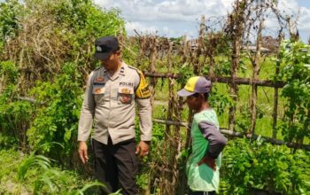 Bhabinkamtibmas di Labuapi dan Warga Bersinergi Jaga Ketahanan Pangan Nasional