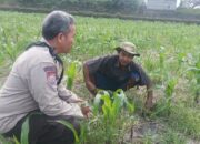 Dorong Ketahanan Pangan, Bhabinkamtibmas Desa Sandik Ajak Warga Manfaatkan Pekarangan