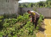 Inisiatif Humanis Polri di Sekotong Tengah, Edukasi Pangan dari Pekarangan Rumah