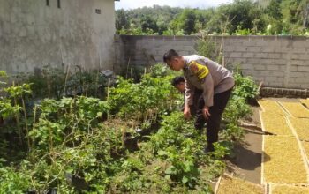 Inisiatif Humanis Polri di Sekotong Tengah, Edukasi Pangan dari Pekarangan Rumah