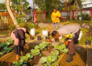 Jaga Ketahanan Pangan, Bhabinkamtibmas Kuripan Gelar Sosialisasi Pemanfaatan Lahan Produktif