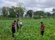 Polres Lombok Barat Dampingi Petani Gerung Utara, Dukung Swasembada Pangan