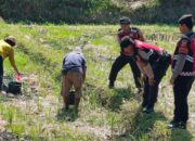 Polres Lombok Barat Dukung Ketahanan Pangan Lewat Patroli Humanis di Desa Kuripan