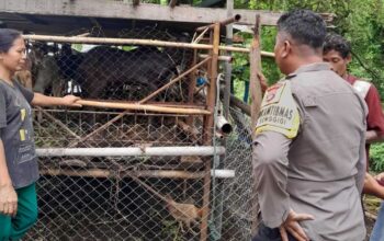 Sinergi Polisi dan Warga Krandangan: Optimalkan Lahan Kosong Jadi Sumber Pangan