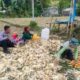 Polsek Lembar Dukung Ketahanan Pangan, Bhabinkamtibmas Beri Semangat Petani Jagung di Eyat Mayang