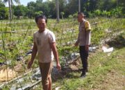 Polsek Sekotong Ajak Petani Berdayakan Lahan Produktif di Dusun Berambang