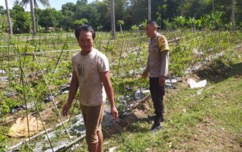 Bhabinkamtibmas Batu Putih Dorong Petani Sekotong Optimalkan Lahan Produktif