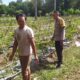 Bhabinkamtibmas Batu Putih Dorong Petani Sekotong Optimalkan Lahan Produktif
